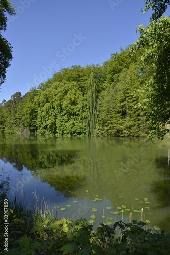 Fototapeta Naklejka Na Ścianę i Meble -  L'étang de la Grande Queue dans sa splendeur au parc Solvay
