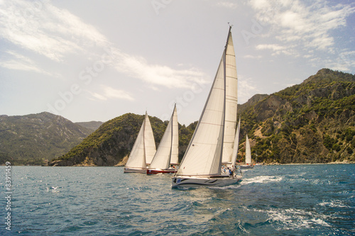 three white sails in a row