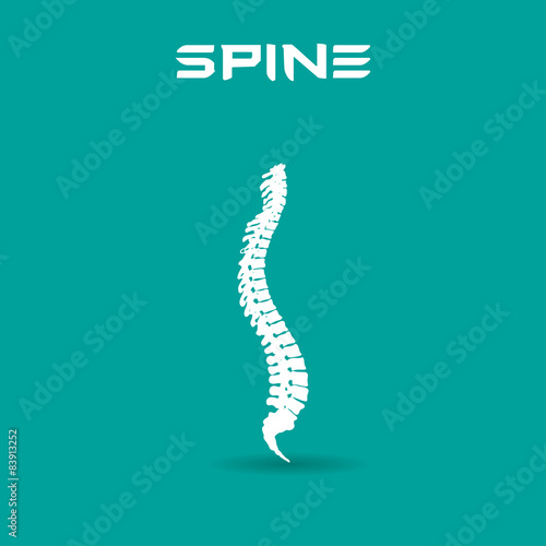 Spine symbol design vector illustration