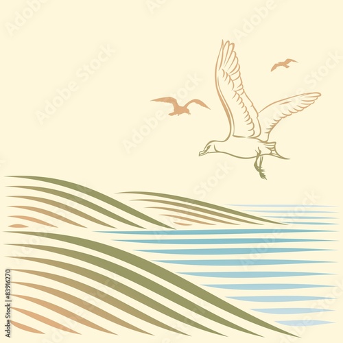 landscape with sea and gulls