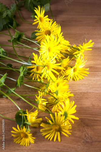 yellow flowers photo