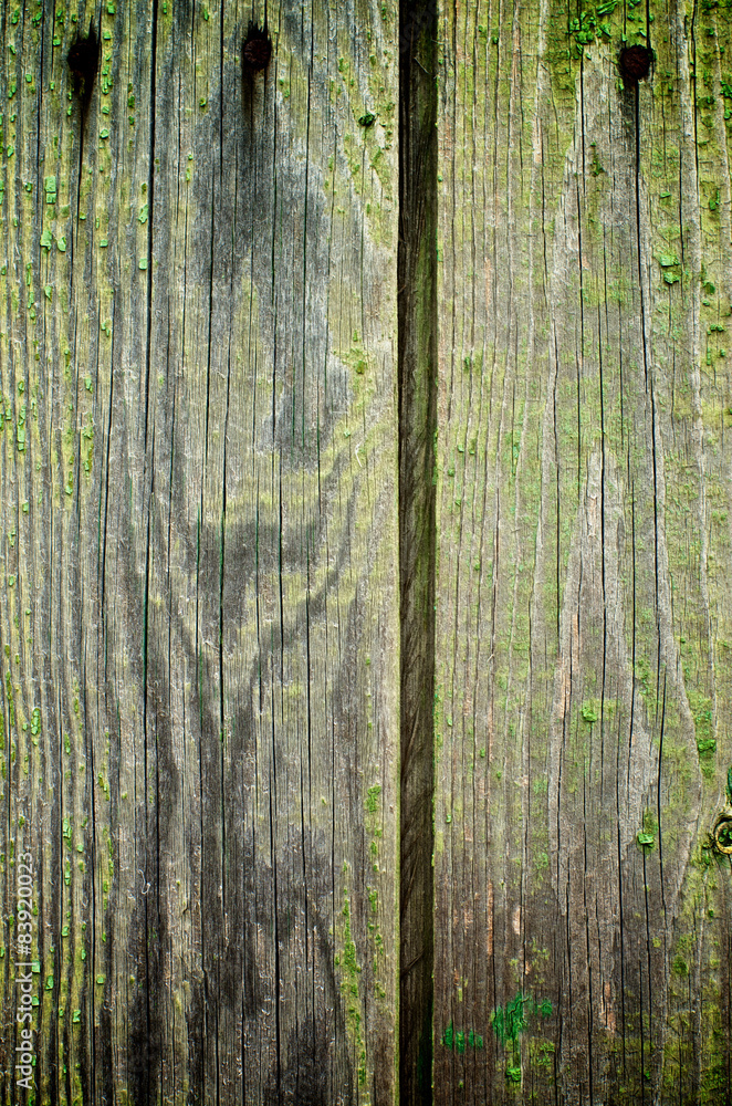 Fototapeta premium Cracked Wooden Background