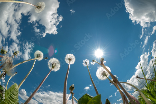 Φωτογραφία View Of Clouds In The Sky Through The Green Grass