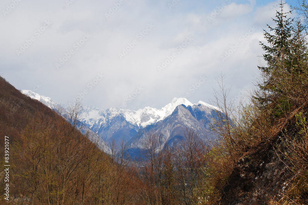 Landscape Near Zaga Landscape Near Zaga