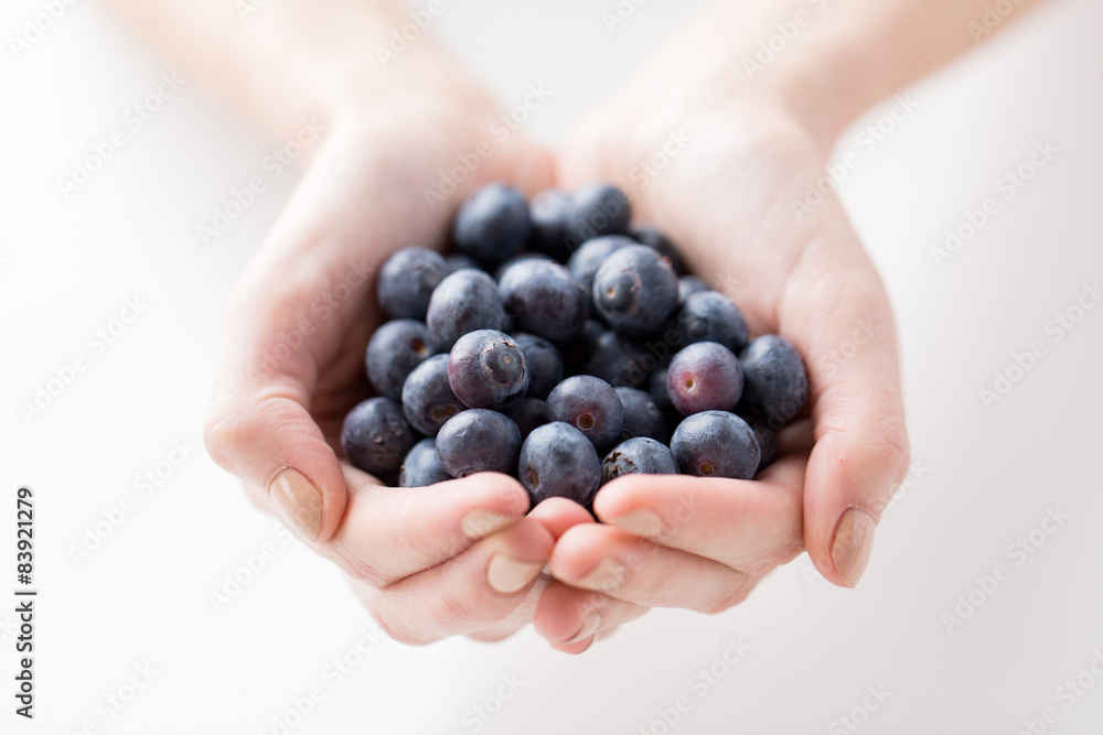 close up of woman hands holding blueberries close up of woman hands holding blueberries