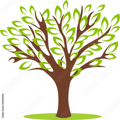 Vector illustrated tree with beautiful green leafs.
