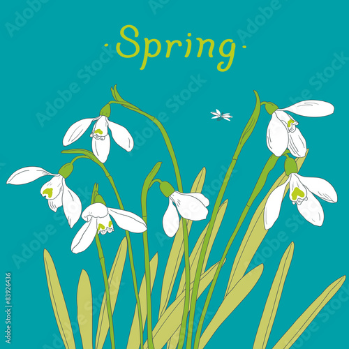 Snowdrops spring bouquet. Hand-drawn vector illustration. Card,