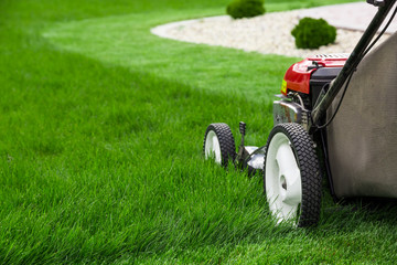 Lawn mower cutting green grass in backyard, mowing lawn