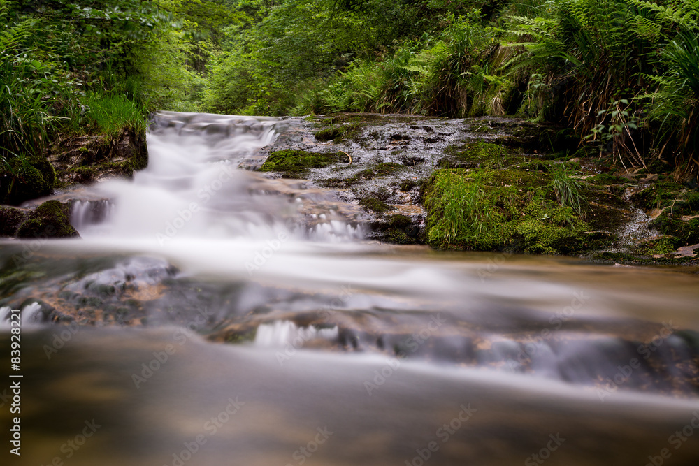 Fototapeta premium Wasserlauf im Wald