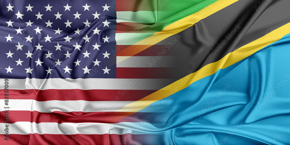 Obraz premium USA and Tanzania
