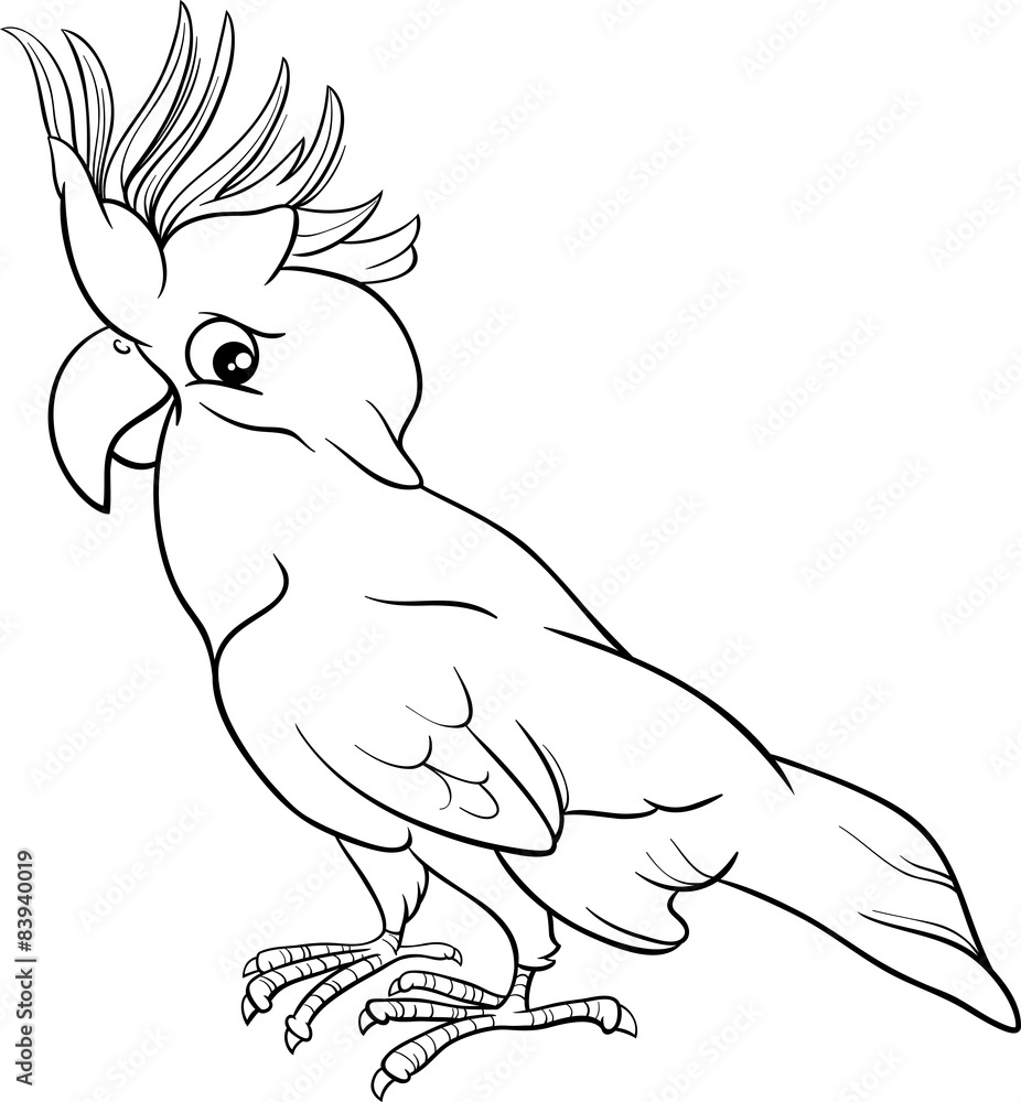 Obraz premium cockatoo parrot coloring page