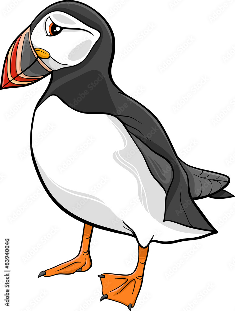 Fotografie atlantic puffin cartoon illustration