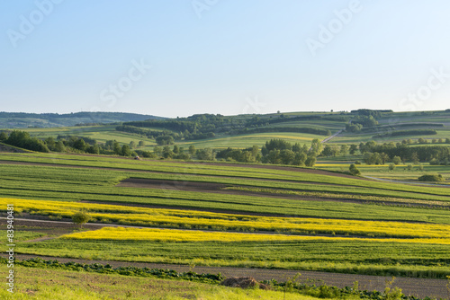 Polish countryside landscape