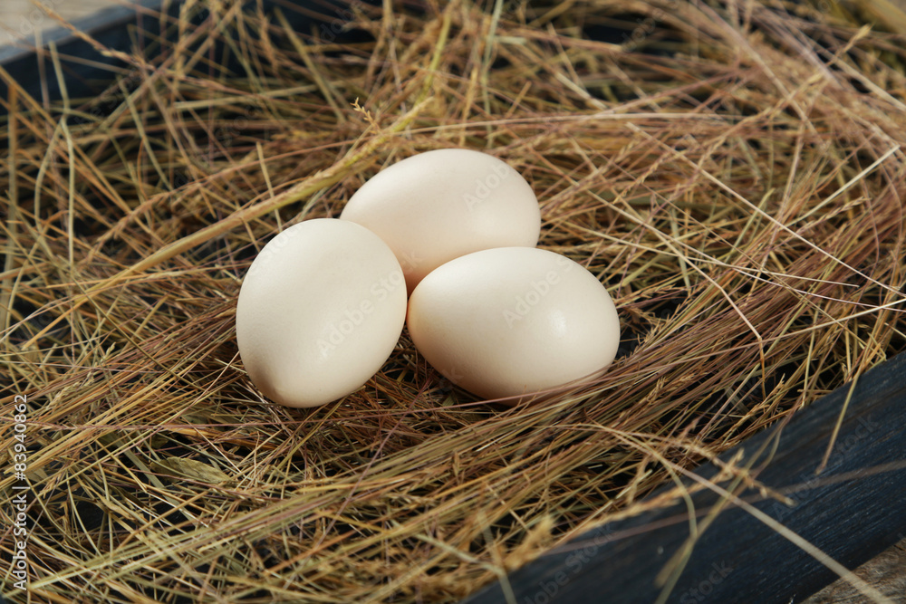 White eggs in straw White eggs in straw