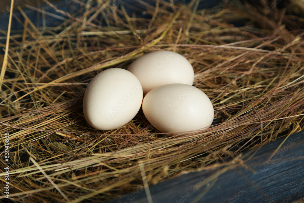 White eggs in straw White eggs in straw