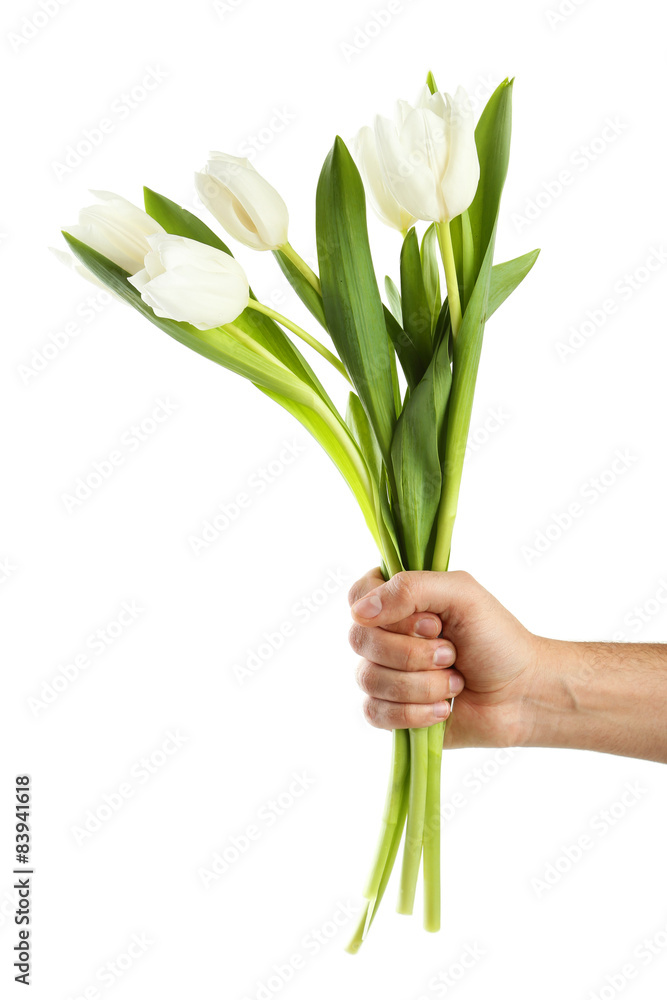 Male hand holding beautiful tulips on white background Male hand holding beautiful tulips on white background