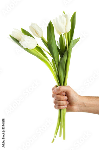 Male hand holding beautiful tulips on white background