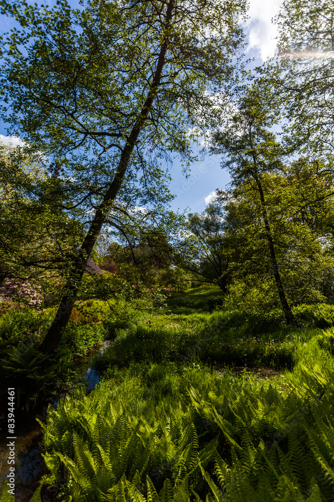 Park in Rostock