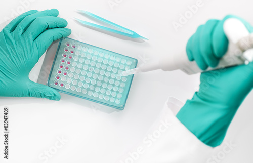 Assembly of PCR reaction for DNA analysis photo