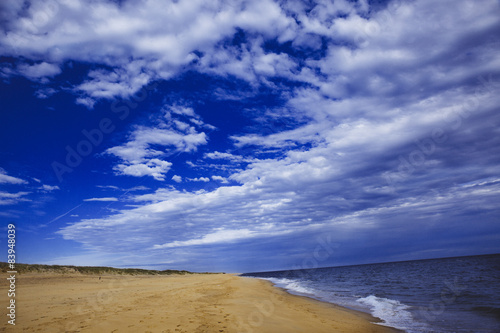 Beach on Martha's Vineyard