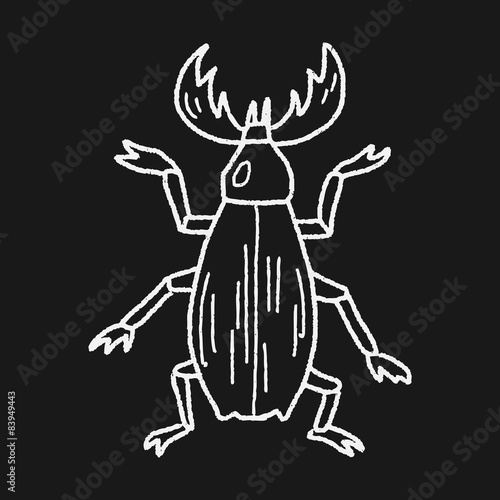 beetle doodle © hchjjl