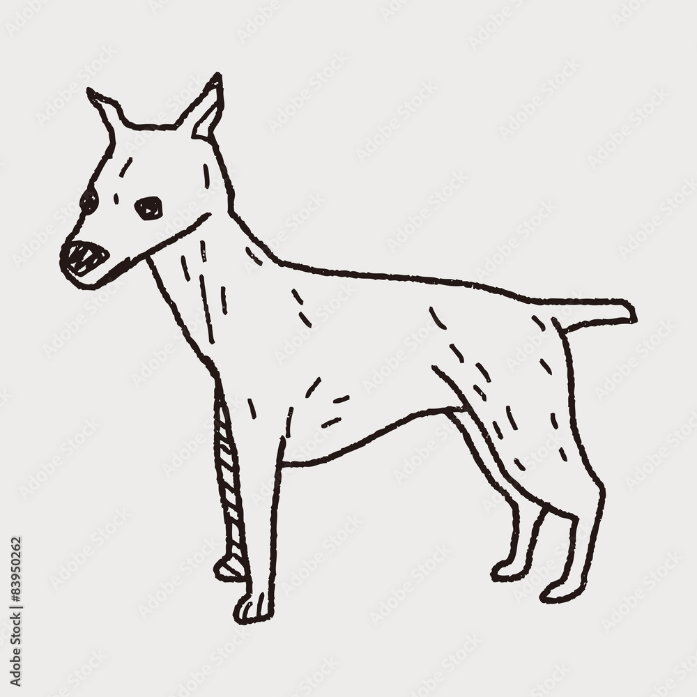 Obraz premium dog doodle