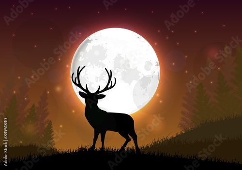 Silhouette of a deer standing on a hill at night 
