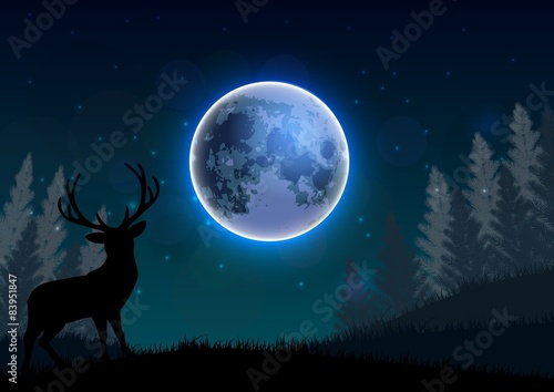 Silhouette of a deer standing on a hill at night. Vector