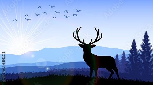 Silhouette of a deer standing on the time of morning. Vector