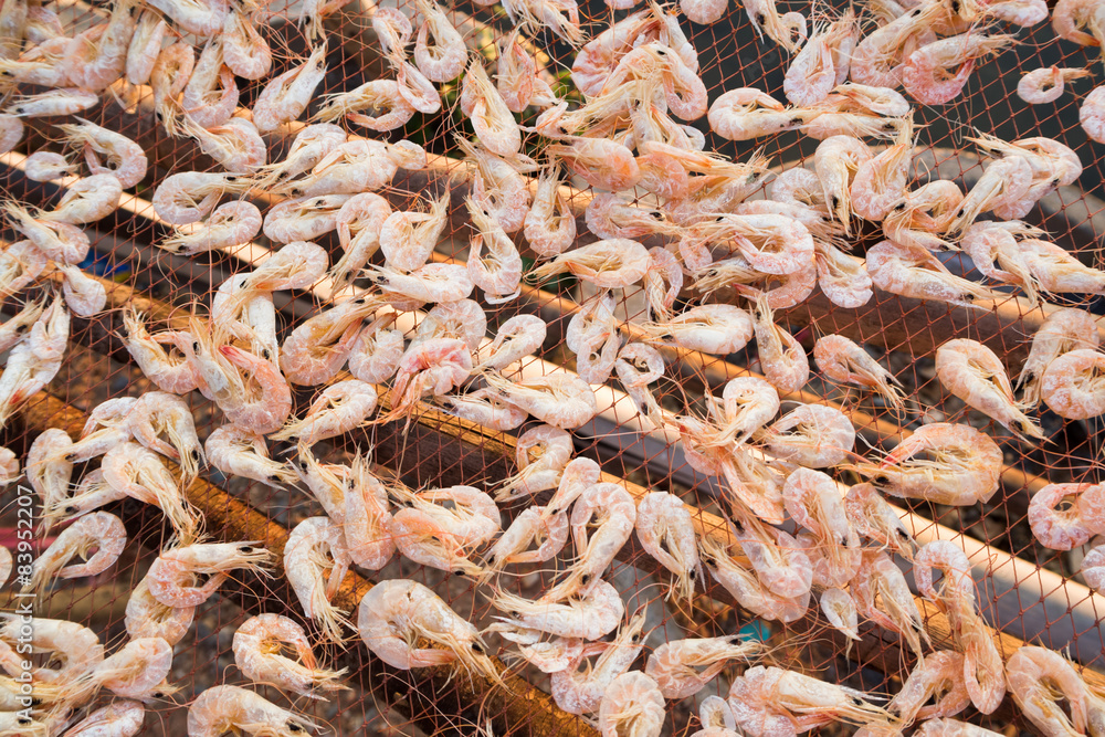 dried shrimp dried shrimp