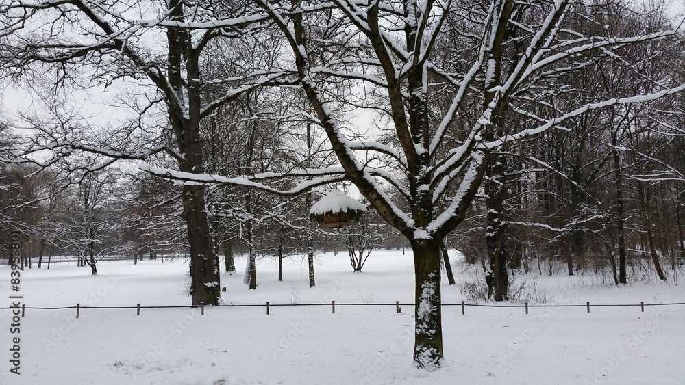 Winter wonderland on English gardens in Munich