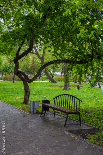 скамейка  рядом с наклонённым деревом в  городском парке