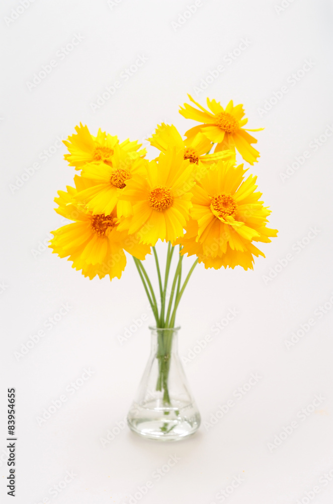 Fototapeta premium 三角フラスコと花.