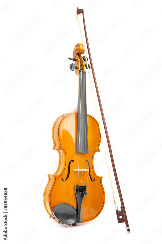 Fototapeta premium violin on white background