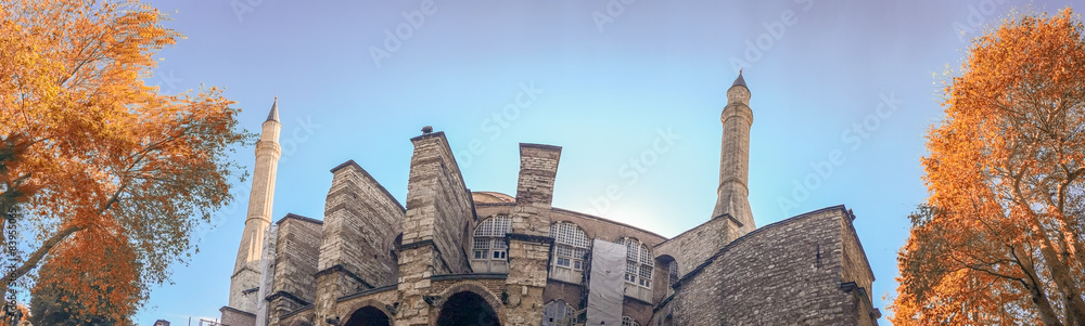 Fototapeta premium The Blue Mosque, Istanbul