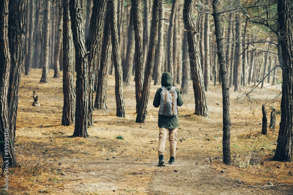 Traveler woman walking in a pine forest