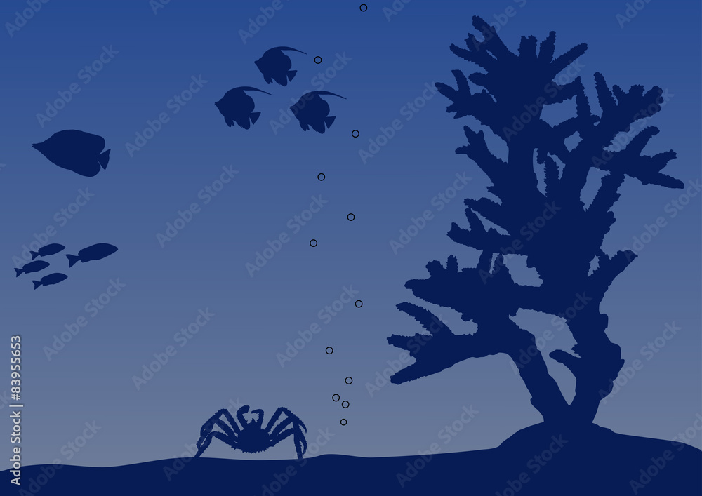 blue coral and fishes illustration