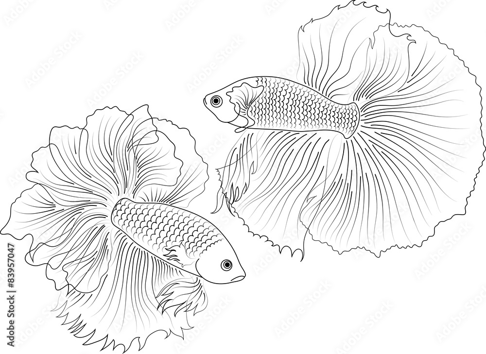 vector black and white aquarium fish Stock Vector Adobe Stock