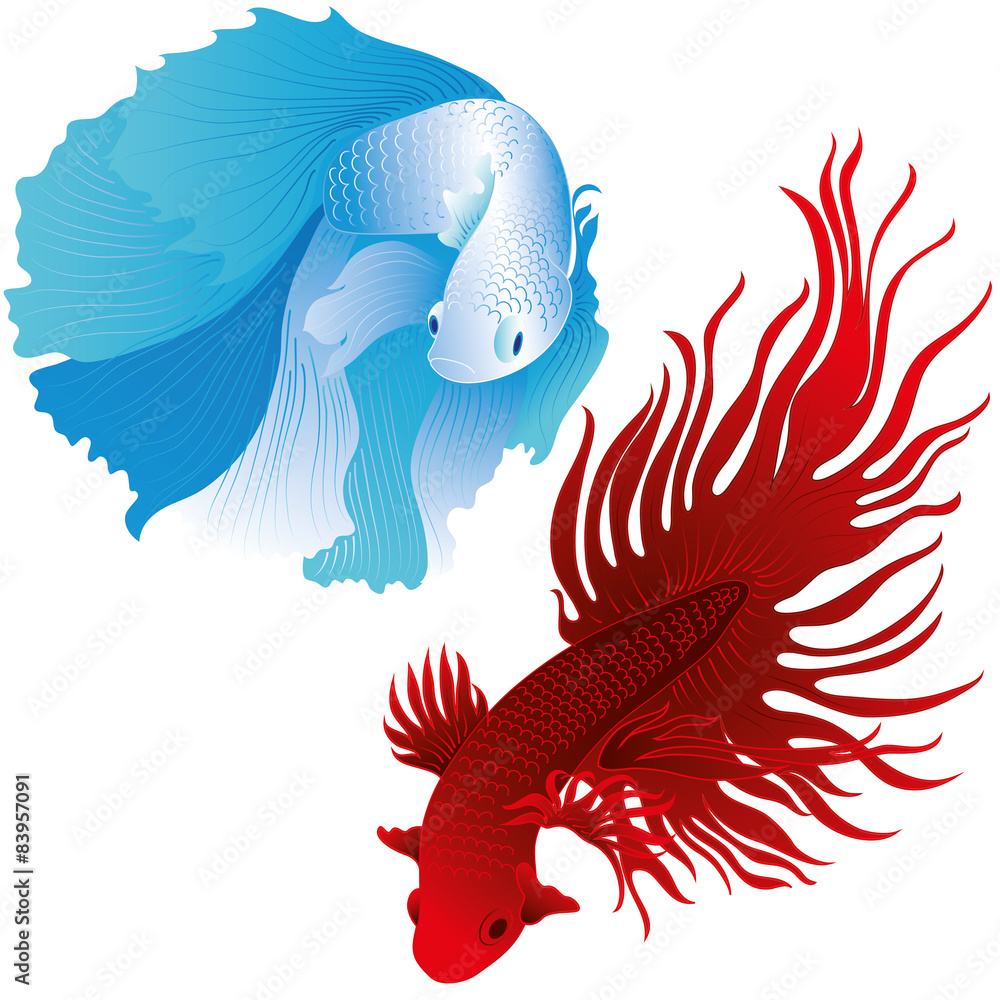 Obraz premium vector aquarium fish