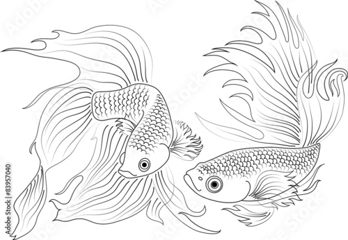 vector black and white aquarium fish