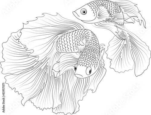 vector black and white aquarium fish