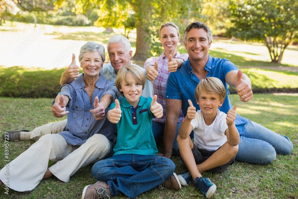 Happy family gesturing thumbs up in the park