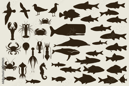 Set of marine animals. vector