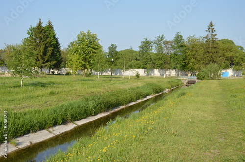 Wallpaper Mural Тропинка по берегу пруда Torontodigital.ca