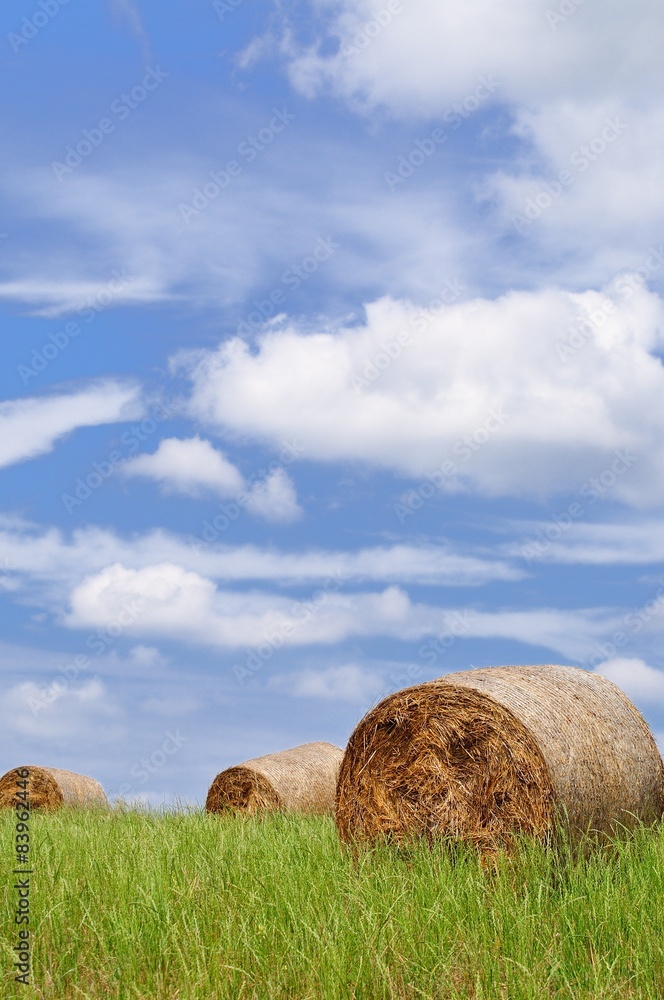 Agriculture landscape with rolls of straw on the field Agriculture landscape with rolls of straw on the field