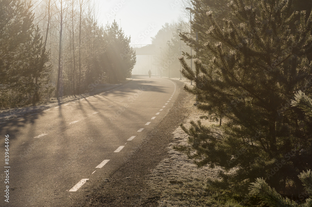 Curvy pedestrian lane with man silhouette on cobweb morning Curvy pedestrian lane with man silhouette on cobweb morning