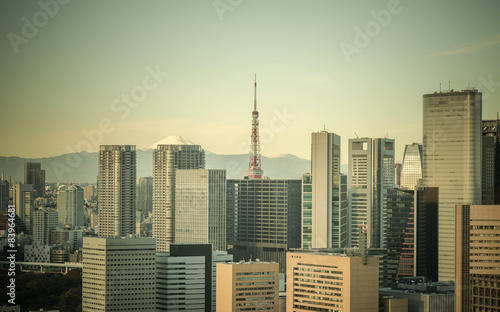 Retro style image of Tokyo, Japan