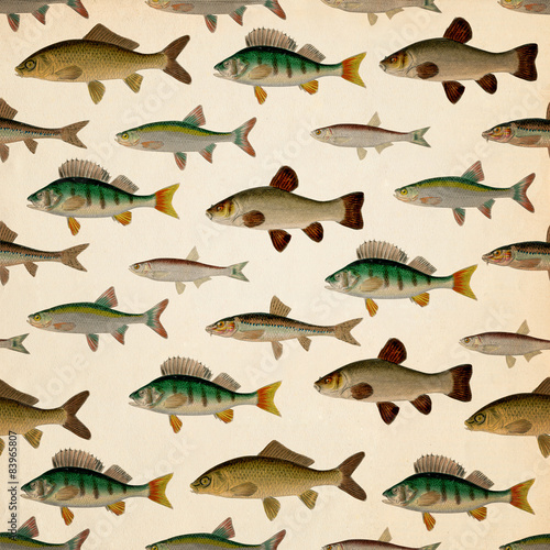 Square Fish Background