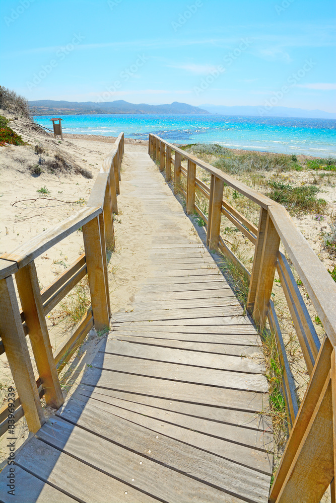 Obraz premium boardwalk to the shore