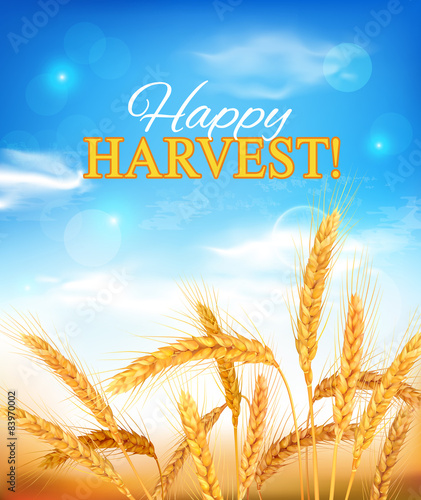 Golden wheat ears and blue sky. Vector illustration.